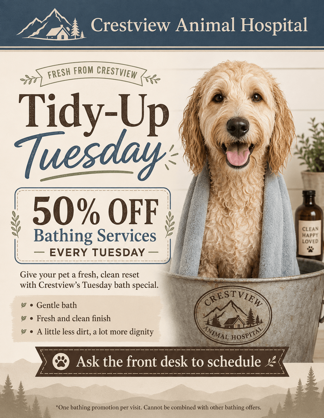 Tidy Up Tuesdays