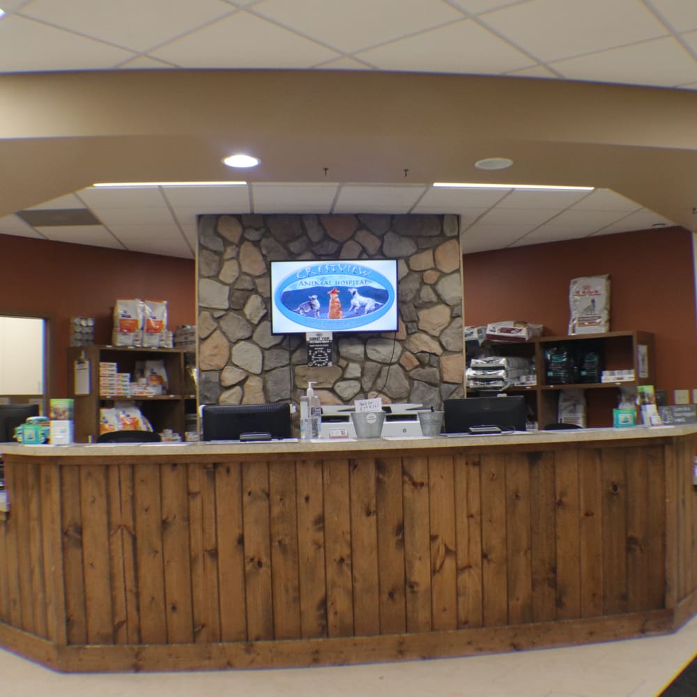 Crestview Animal Hospital & Emergency in Cumming