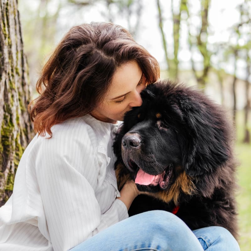 Cat and Dog Vaccination in Cumming