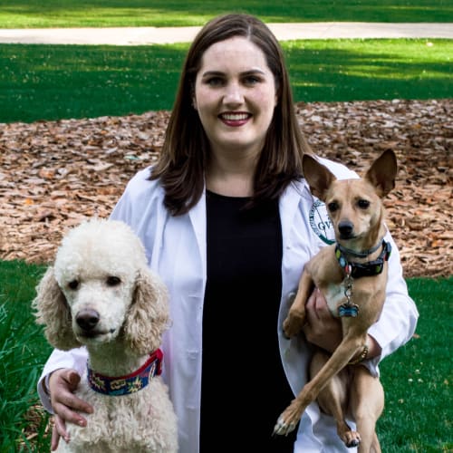 Dr. Swafford, Cumming Veterinarian