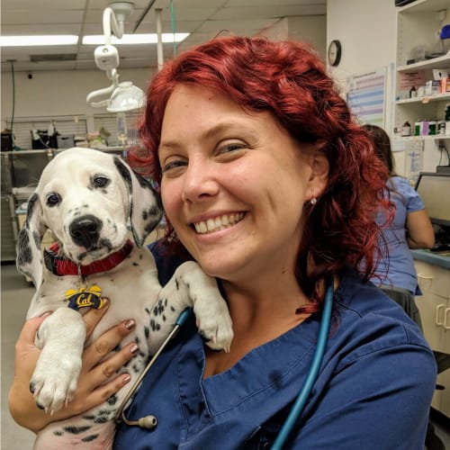 Dr. Val, Cumming Emergency Veterinarian