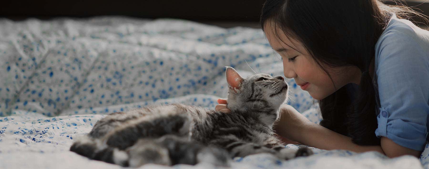 Girl with a cat